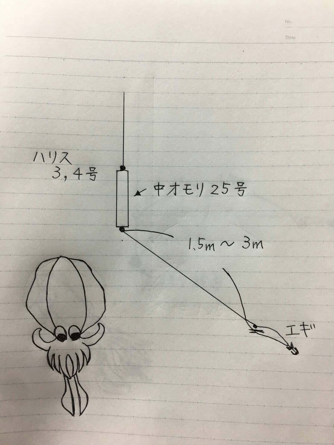 アオリイカ　中オモリ仕掛け