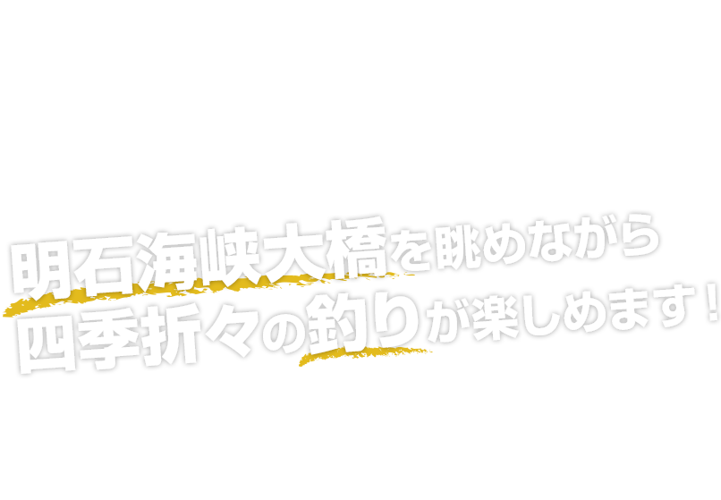 明石海峡大橋を眺めながら四季折々の釣りが楽しめます！